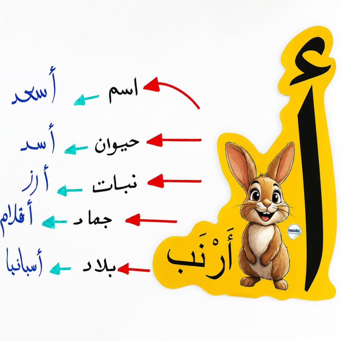 حروف الهجاء بالصور الممغنطة