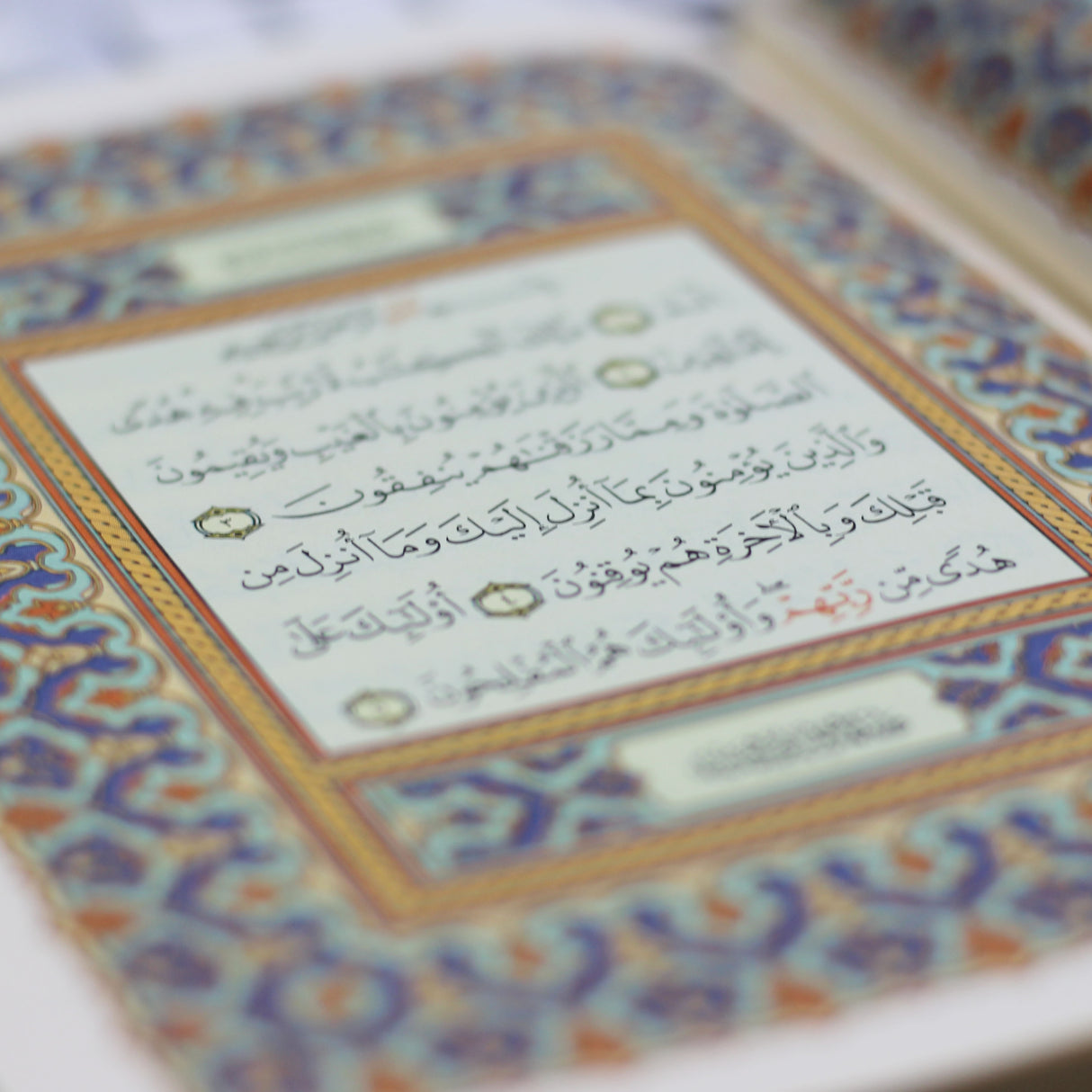 المصحف بالرسم العثماني برواية حفص عن عاصم 14/20 شاموا مخمل