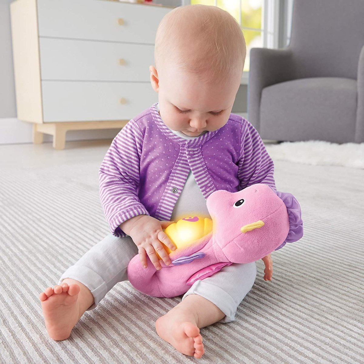 Soft and cuddly seahorse  فرس البحر الناعم والمحبوب