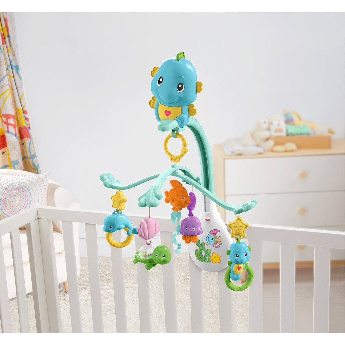 Soft and cuddly seahorse  فرس البحر الناعم والمحبوب